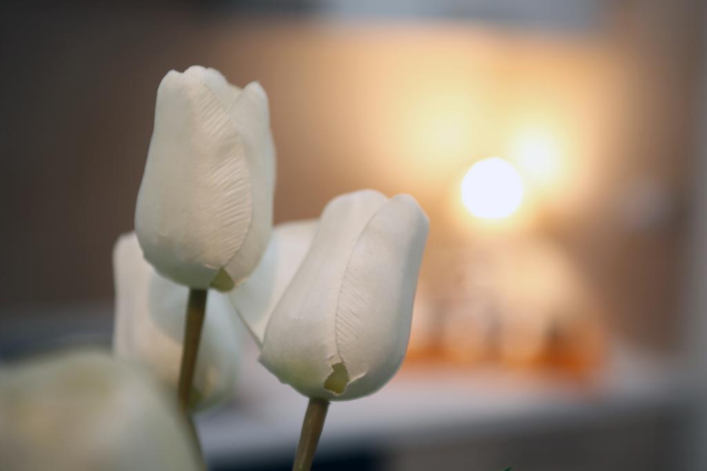 Apartment Corso Cavour バーリ エクステリア 写真